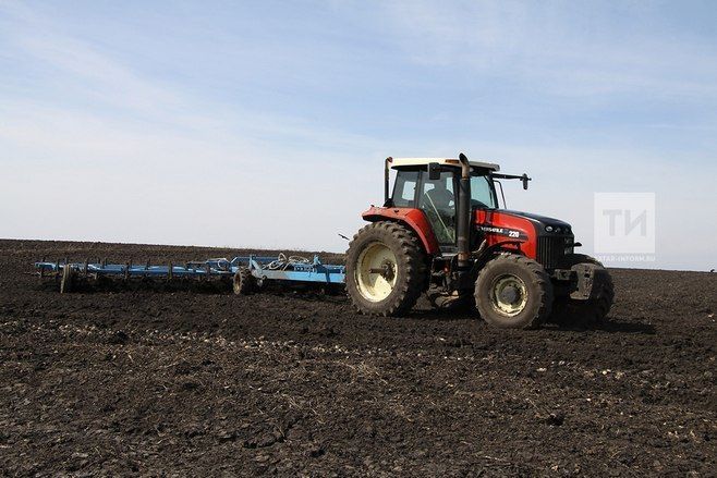 К весенне-полевым работам приступили аграрии 26 районов Татарстана