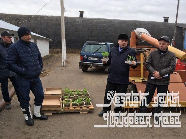 Фото: В Кукморском хозяйстве «Урал» весенне-полевые работы планируют завершить за 8 дней