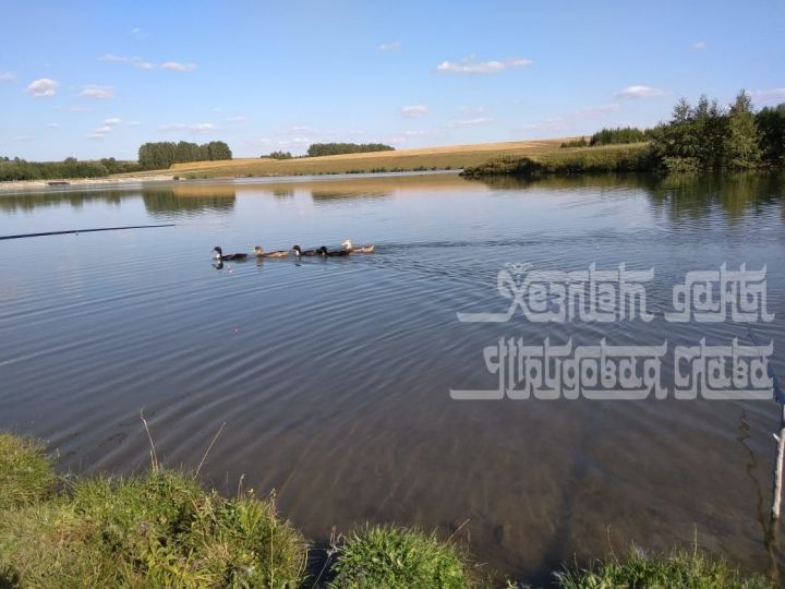 Прогноз погоды на 8 сентября