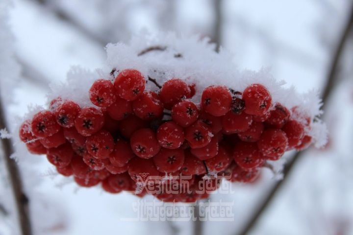 В Татарстане ожидаются морозы до -30 градусов
