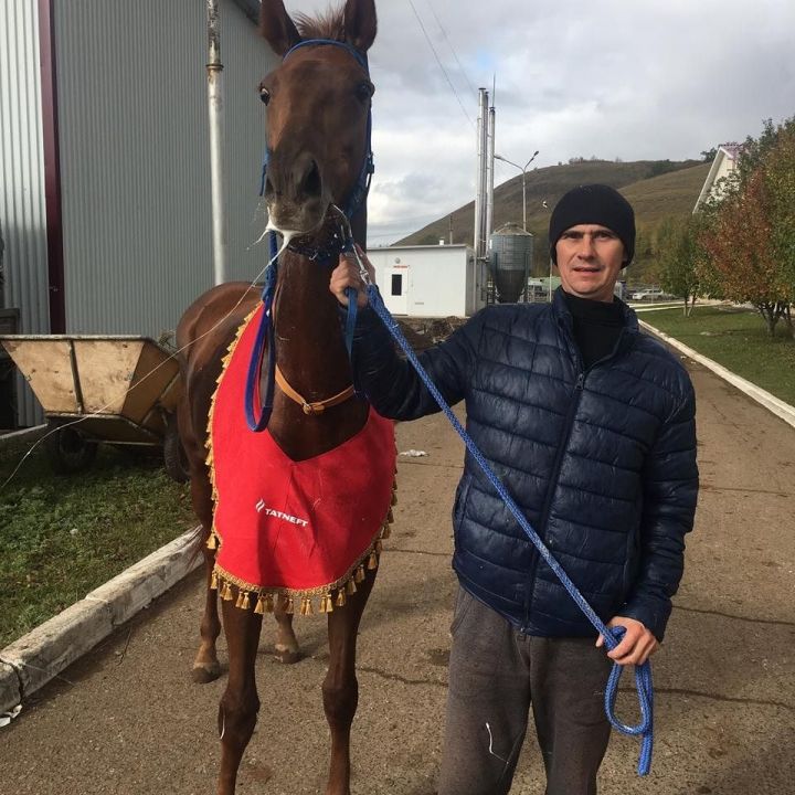 Лошадь из Кукморского района приняла участие в соревнованиях «Осенние старты»