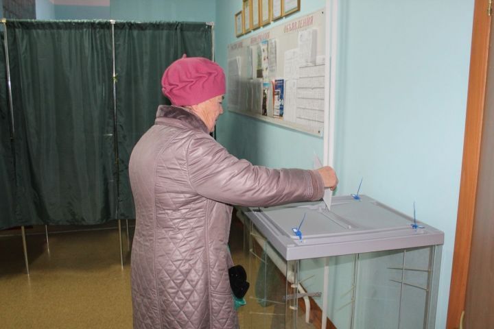 Завтра в Большесардекском  поселении пройдет референдум