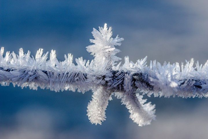 Народные приметы на 28 декабря