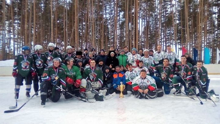 В Лубянах прошел турнир по хоккею памяти заслуженного лесовода РТ Мулланура Губайдуллина