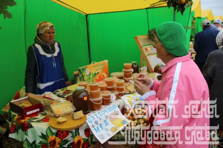В Кукморе пройдет «Медовый спас»