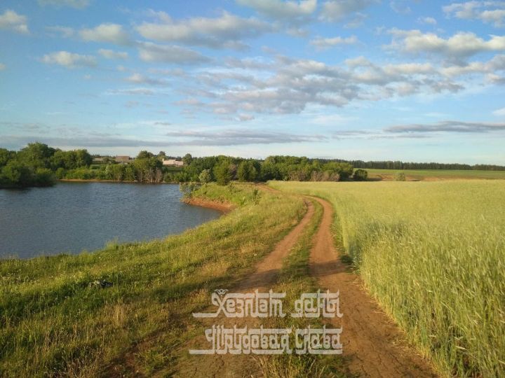 В Татарстан вернулась жара