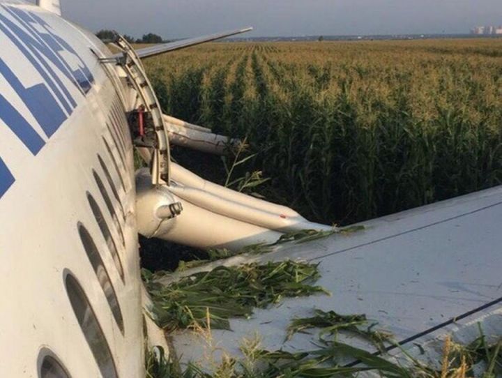 Двигателенә ут капкан бортында 234 кешесе булган самолет кукуруз басуына төшкән