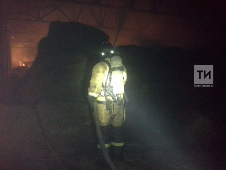 Фото: Пожарным удалось спасти из огня 170 тонн сена