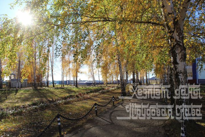 Синоптики рассказали, когда настанет последний день бабьего лета
