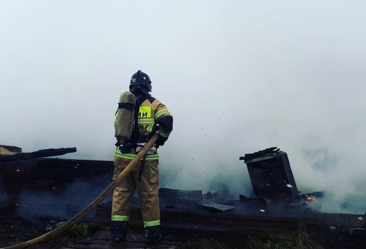 В Татарстане на пожаре на ферме спасли сто коров