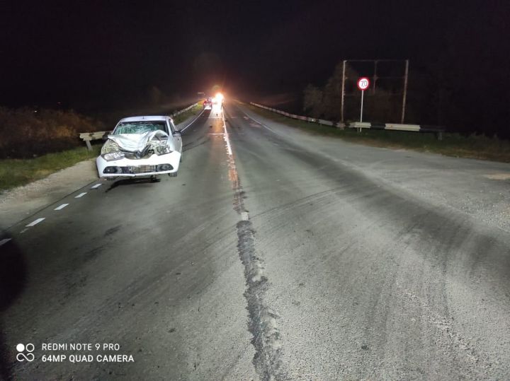 На трассе Вятские Поляны – Кукмор иномарка насмерть сбила двоих пешеходов