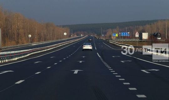 Строительство автодороги М12 Москва – Казань не потребует дополнительной вырубки деревьев