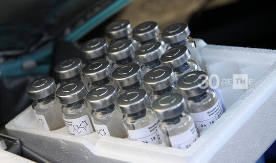 В Татарстан поступила вторая партия вакцины против гриппа для взрослых