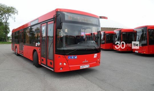В Татарстане собираются возобновить проект по аресту пассажирских автобусов