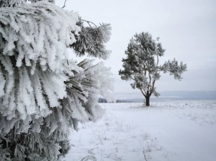 Морозы до -28 градусов обещают синоптики Татарстана