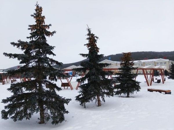 Синоптики предупредили о сильном ветре в Татарстане