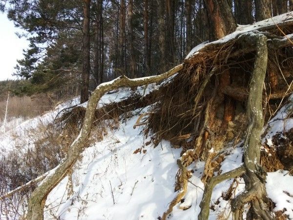 Народные приметы на 13 февраля