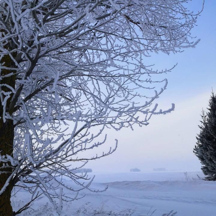 Народные приметы на 16 февраля