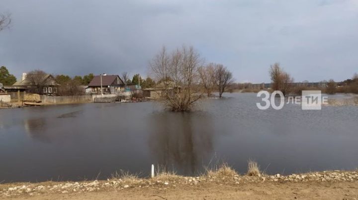Подъем уровня воды на Вятке привел к подтоплению 5 домов в селе Лубяны