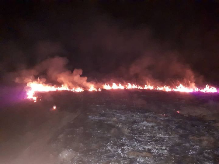 В Кукморском районе ночью горело поле
