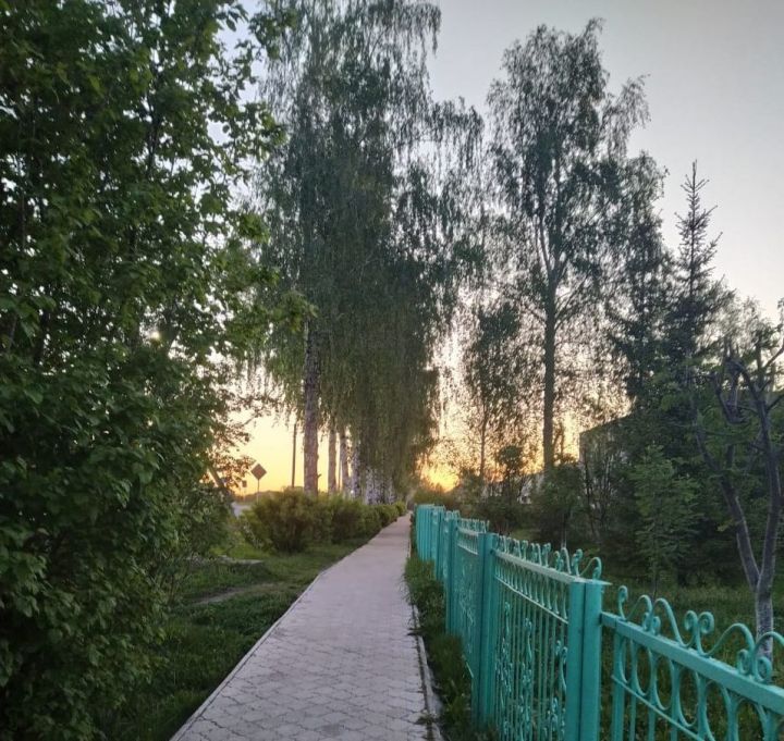 В Татарстане вновь прогнозируется сильный ветер
