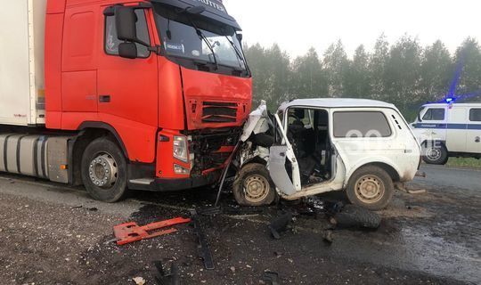 В Татарстане в лобовом столкновении «Нивы» с фурой  погибли три брата