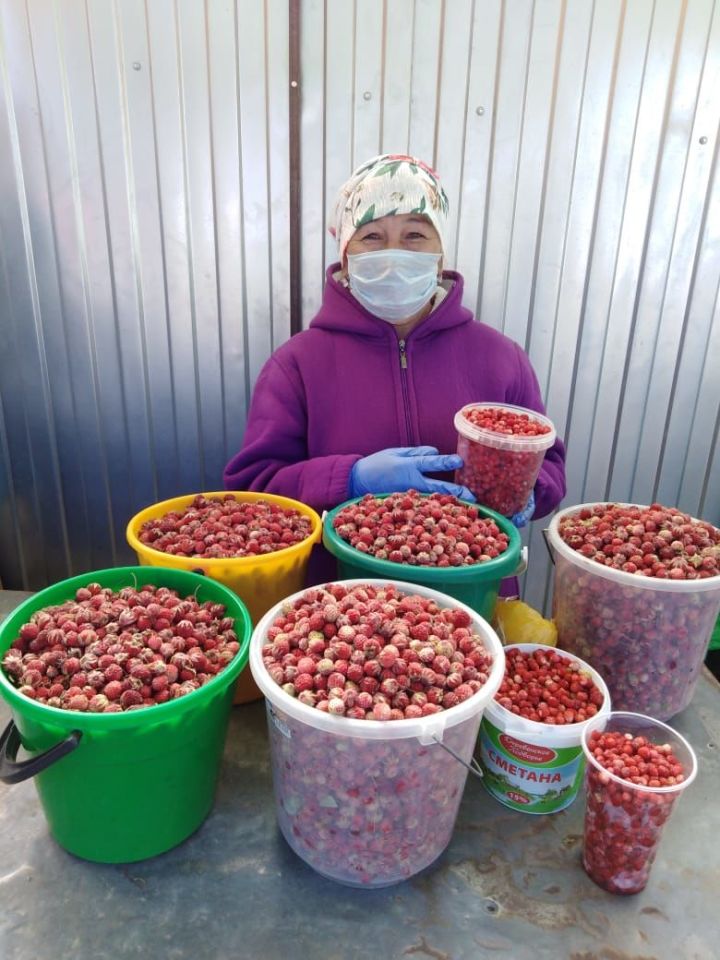 Почем ягодка: какие ягоды продают на рынке Кукмора и сколько они стоят