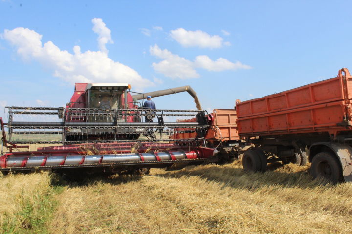 Второй миллион тонн зерна собрали в Татарстане