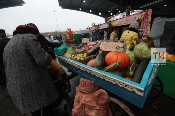 В Татарстане колледжи и техникумы представят сельхозпродукцию на ярмарке