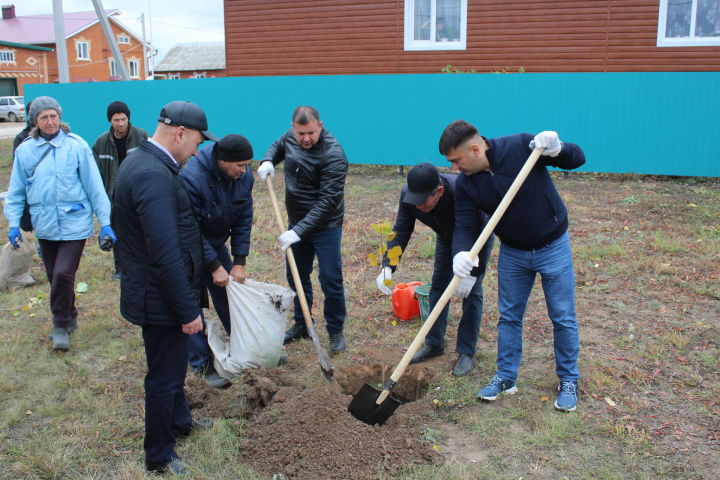 Сергей Димитриев принял участие в посадке деревьев