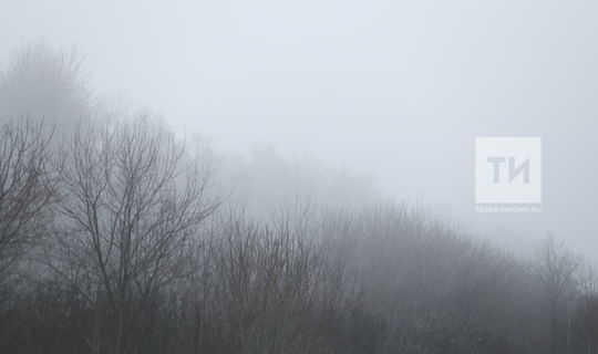 Кукмаралыларны томан аркасында күз күреме начарлану турында кисәтәләр
