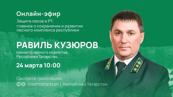 Министр лесного хозяйства РТ расскажет о защите лесов и цифровизации лесного комплекса