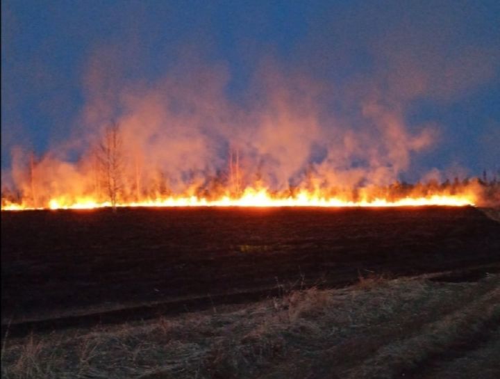 В Вятских Полянах произошел крупный природный пожар