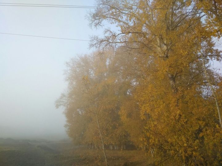 В Кукморском районе ожидается туман