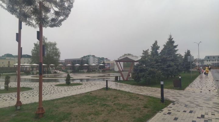 В Кукморском районе ожидается небольшой дождь и заморозки