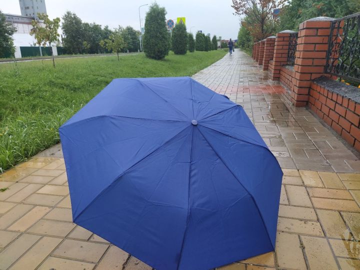 В Кукморском районе ожидается дождь и сильный ветер