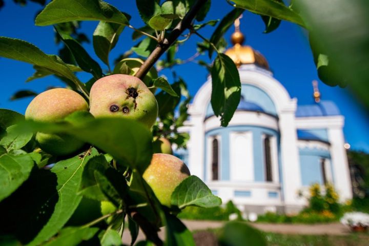 Расписание богослужений на 10-й седмице по Пятидесятнице