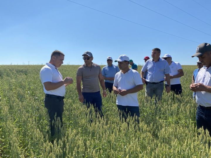 Комиссия высоко оценила состояние полей Кукморского района