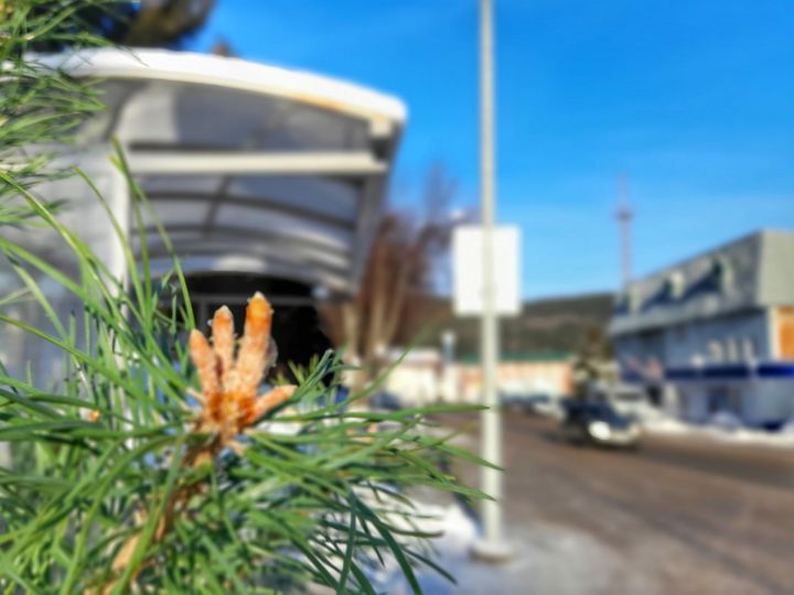 В Кукморском районе ожидается небольшой снег и до 14 градусов мороза