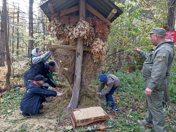 В Татарстане заготовили веники, сено и зерно для диких животных