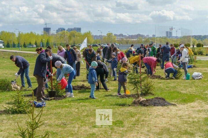 В Татарстане в четвертый раз пройдет акция по высадке деревьев «Сад памяти»