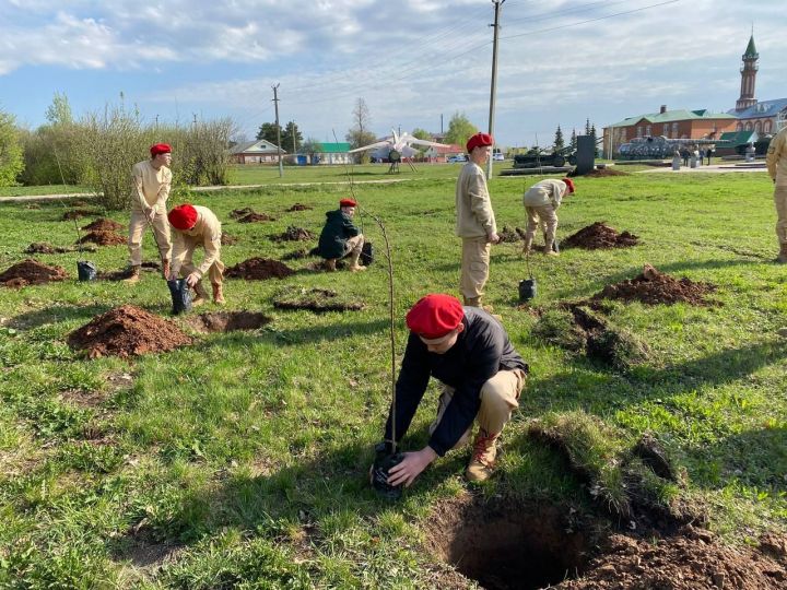 Кукморяне посадили деревья в рамках акции «Сад памяти»