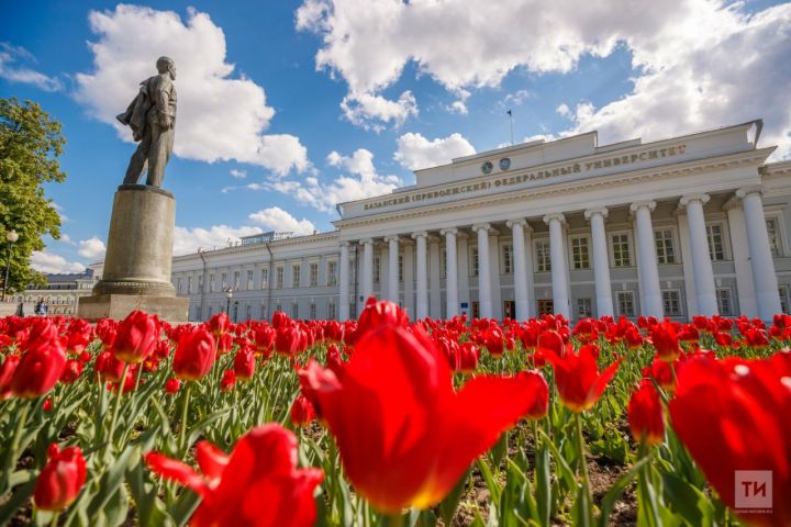 Четыре вуза Татарстана вошли в сотню лучших вузов России