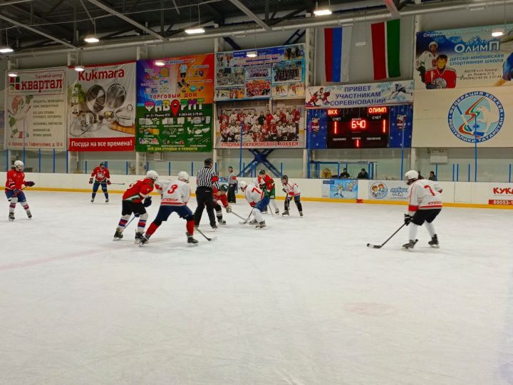 В честь Дня сотрудника органов внутренних дел в Кукморе состоялся турнир по хоккею