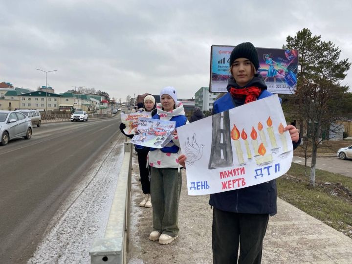 В Кукморе дети вышли на улицу с плакатами, призывающими соблюдать ПДД