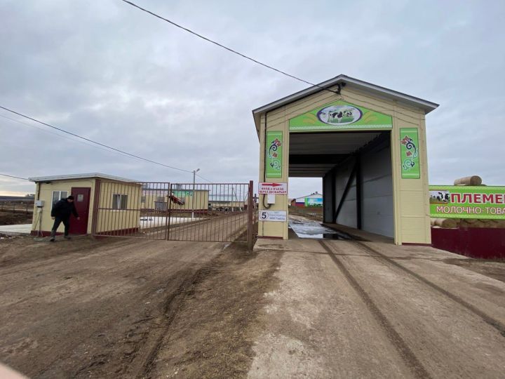 Здоровье животных - на первом месте