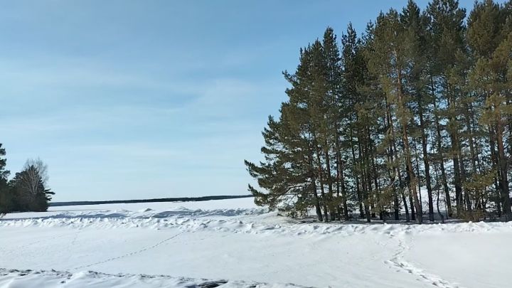 В Кукморском районе ожидается сильный ветер, метель, дождь и до +4 градусов тепла