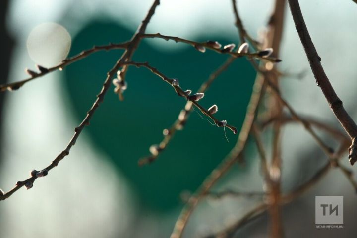 Метеоролог рассказал, будет ли весна ранней в этом том году
