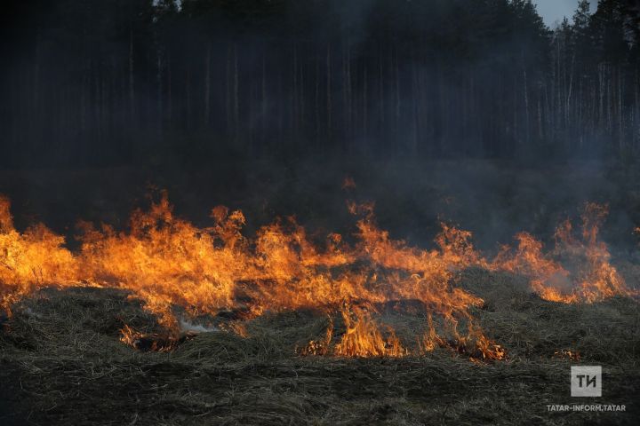 Татарстанцам напомнили об опасности выжигания сухой травянистой растительности