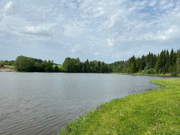 Народные приметы на Самсонов день